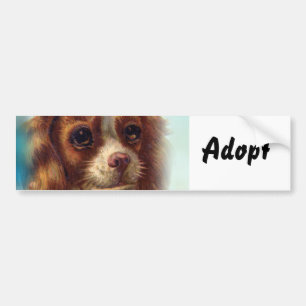 Cat Kitten Dog Adopt Bumper Sticker