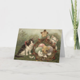 Cat Kitten Easter Colored Painted Egg Chick Holiday Card