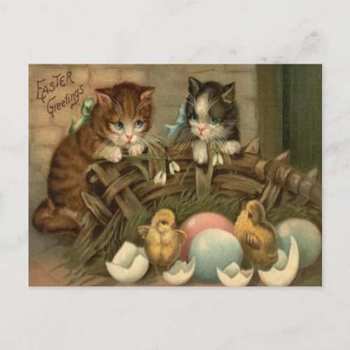 Cat Kitten Easter Colored Painted Egg Chick Holiday Postcard