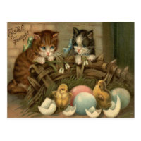 Cat Kitten Easter Colored Painted Egg Chick Postcard