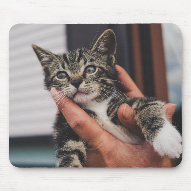 cat, kitten, hand mouse pad (Front)