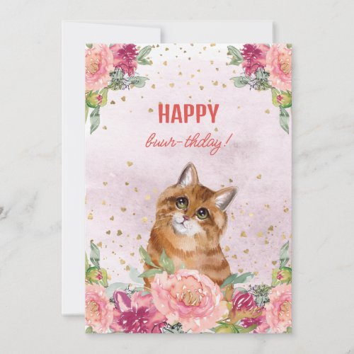 Cat Kitten Happy Birthday Funny Mother Day Holiday Card