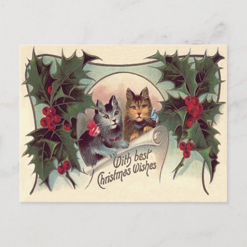 Cat Kitten Holly Postcard
