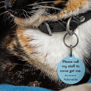 Cat, Kitten if lost tag, Small .88 Pet ID Tag