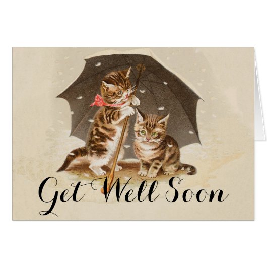 Cat Kitten kitty antique vintage pretty cute (Front Horizontal)