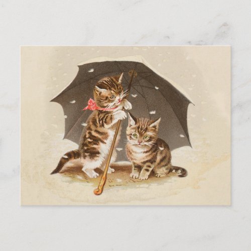 Cat Kitten kitty antique vintage pretty cute  Postcard