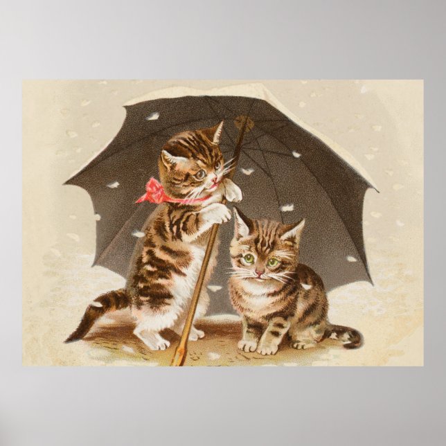 Cat Kitten kitty antique vintage pretty cute  Poster (Front)