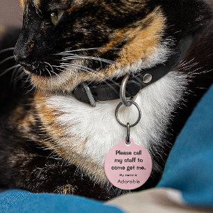 Cat, Kitten Lost tag, Small .88" Pet ID Tag