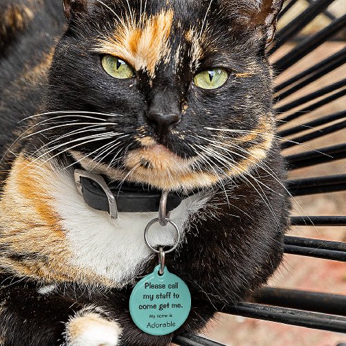 Cat Kitten Lost tag Teal Small 88 Pet ID Tag