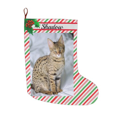 Cat Kitten Photo Cute Christmas Stocking Add Name