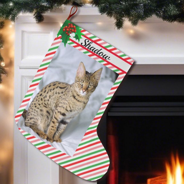 Cat Kitten Photo Cute Christmas Stocking Add Name (Creator Uploaded)