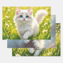 Cat / Kitten