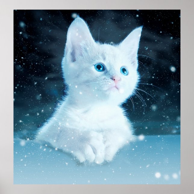 Cat kitty snow art animal nature poster (Front)