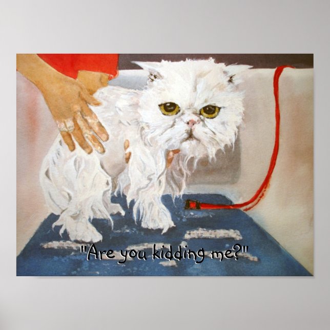 Cat Kitty Vet Pet Cat Bath Humor Funny Poster (Front)