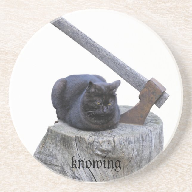 cat, knowing sandstone coaster (Front)