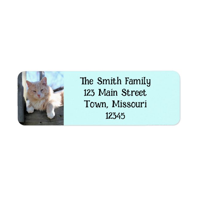 cat label (Front)