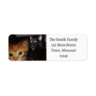 Cat Label