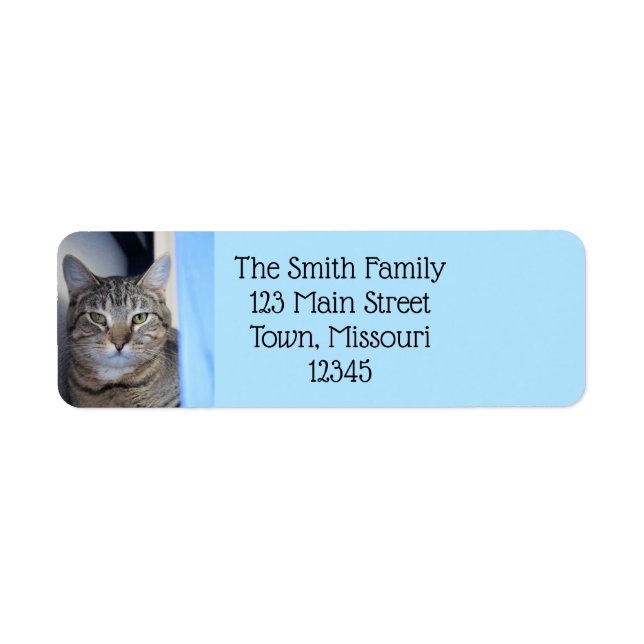 Cat Label (Front)
