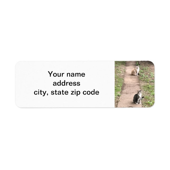 Cat Label (Front)