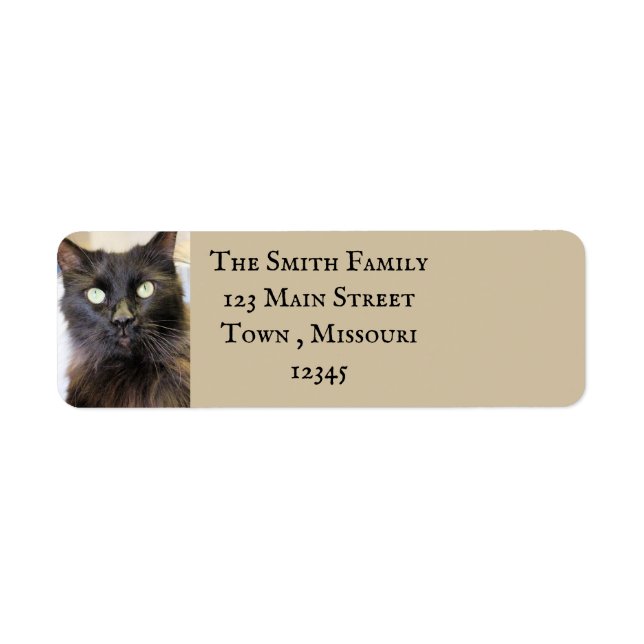 Cat Label (Front)