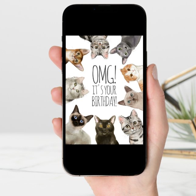 Cat Lady Birthday | OMG! It's Your Birthday Funny Card (Front Digital)