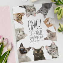 Cat Lady Birthday   OMG! It's Your Birthday Funny Card