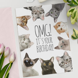 Cat Lady Birthday OMG! It's Your Birthday Funny Card