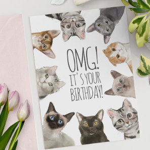 Cat Lady Birthday | OMG! It's Your Birthday Funny Card