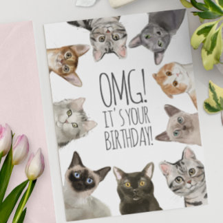 Cat Lady Birthday | OMG! It's Your Birthday Funny Card