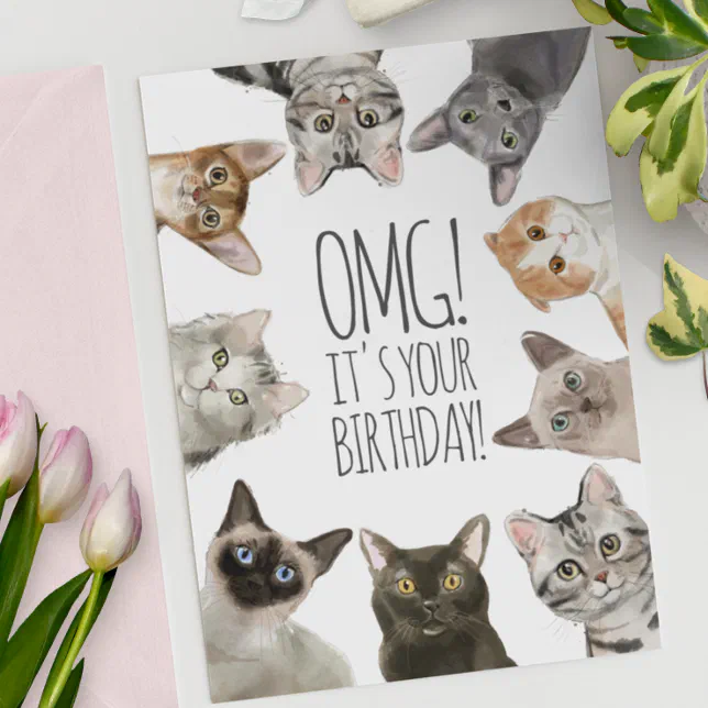 Cat Lady Birthday | OMG! It's Your Birthday Funny Card | Zazzle