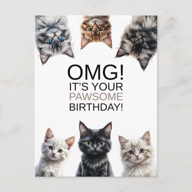 Cat Lady Birthday | OMG! It's Your Birthday Funny  Postcard (Front)