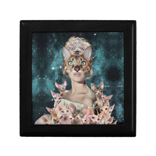 Cat Lady Gift Box (Front)
