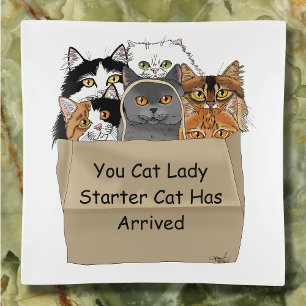 Cat Lady Starter Kit Trinket Tray