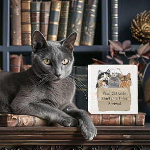 Cat Lady Starter Kit Wooden Box Sign