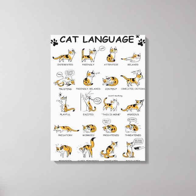 Cat Language, Funny Cat Kitten, Love Cat Gift Idea Canvas Print (Front)