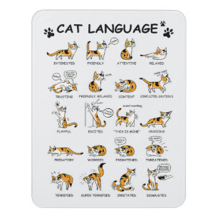 Cat Language, Funny Cat Kitten, Love Cat Gift Idea Door Sign