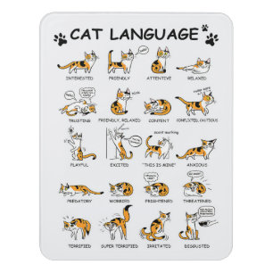 Cat Language, Funny Cat Kitten, Love Cat Gift Idea Door Sign