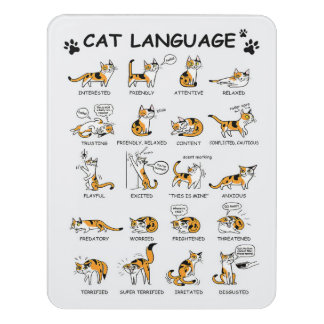 Cat Language, Funny Cat Kitten, Love Cat Gift Idea Door Sign