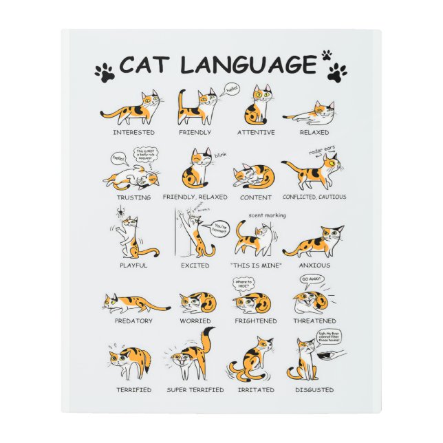 Cat Language, Funny Cat Kitten, Love Cat Gift Idea Metal Print (Front)