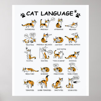 Cat Language, Funny Cat Kitten, Love Cat Gift Idea Poster