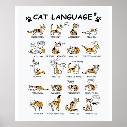 Cat Language Funny Cat Kitten Love Cat Gift Idea Poster