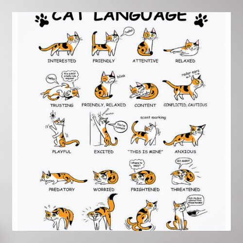 Cat Language Funny Cat Kitten Love Cat Gift Idea Poster