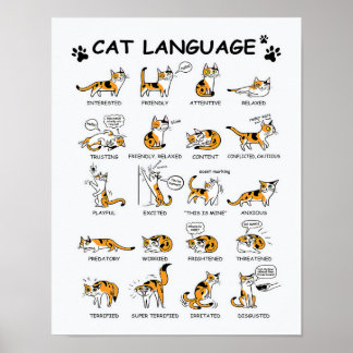 Cat Language, Funny Cat Kitten, Love Cat Gift Idea Poster