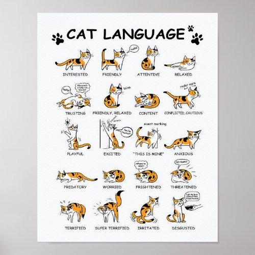 Cat Language Funny Cat Kitten Love Cat Gift Idea Poster