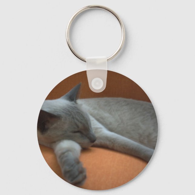 Cat lay keychain (Front)