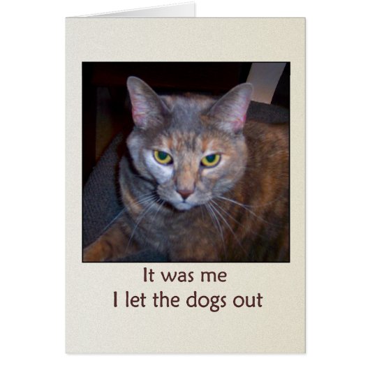 Cat Let The Dogs Out Cards (Front)