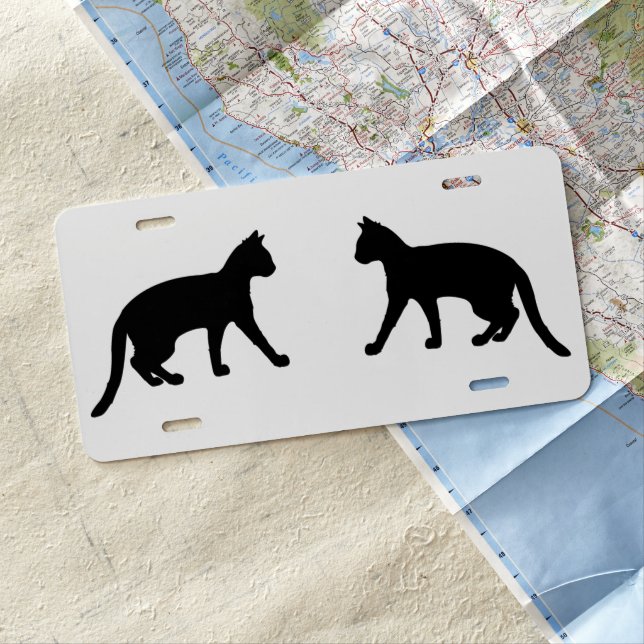 Cat License Plate (In Situ)
