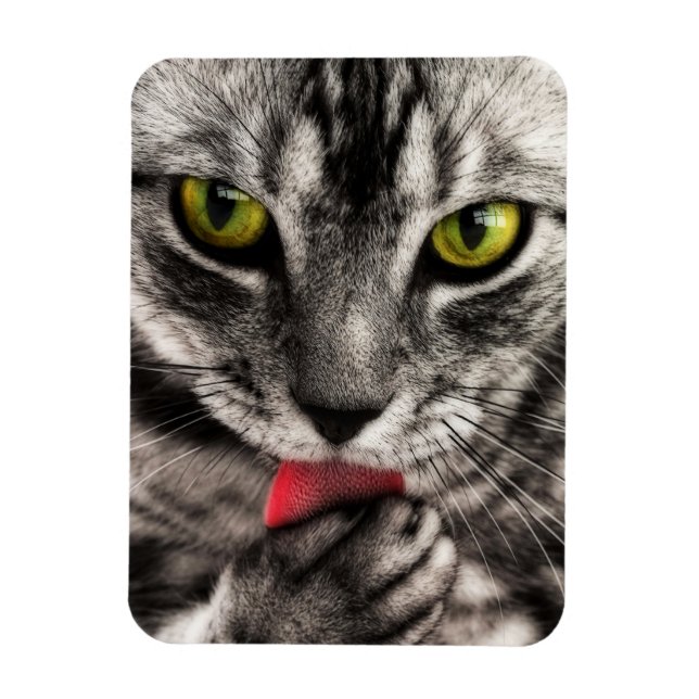 Cat Lick Magnet (Vertical)