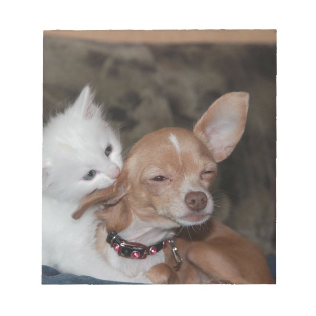 Cat licking Dog Notepad (Front)