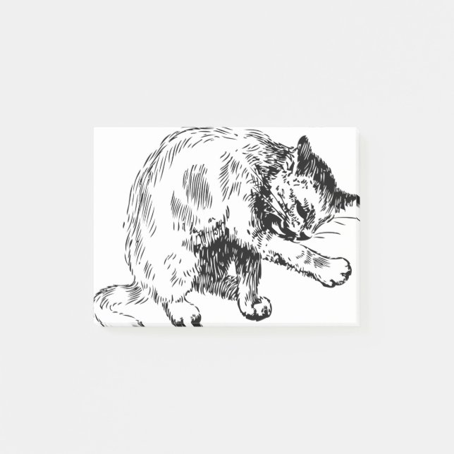 Cat Licking Hand Furs skin cleaning furry Post-it Notes (Front)
